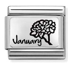 330112/13 Classic MONTH FLOWER PLATES (IC) steel, 925 silver. January