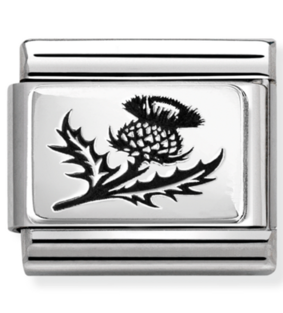 330111/54 Classic PLATES  steel and 925 silver Thistle Flower
