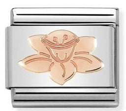 430104/23 Classic, S/steel,Bonded Rose Gold, Daffodil
