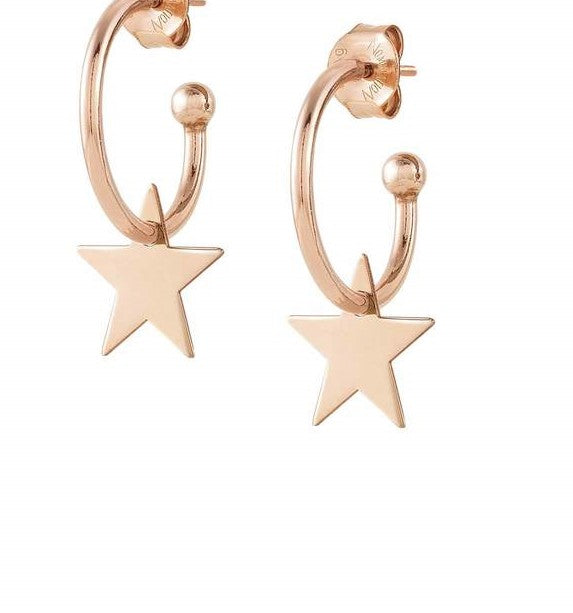 147703/023 MELODIE earrings,925/ RG Plate silver Star