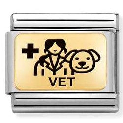 030166/18 Classic PLATES (IC)  steel & yellow gold Vet